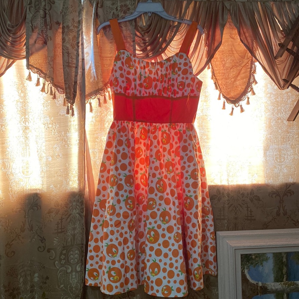 Disney parks dress